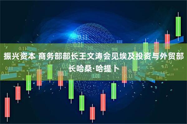 振兴资本 商务部部长王文涛会见埃及投资与外贸部长哈桑·哈提卜