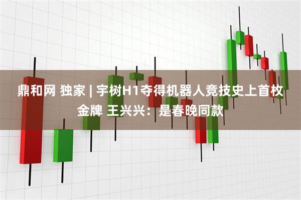 鼎和网 独家 | 宇树H1夺得机器人竞技史上首枚金牌 王兴兴：是春晚同款