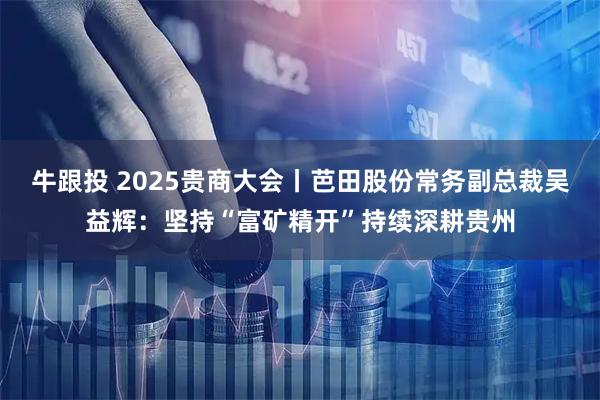 牛跟投 2025贵商大会丨芭田股份常务副总裁吴益辉：坚持“富矿精开”持续深耕贵州